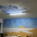 078C8D80-6ED7-4335-A85E-09C9FE47D5F8_1_105_c