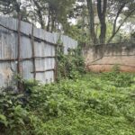 242ADC28-1300-4A98-98E1-016A5BDA07C3_1_105_c