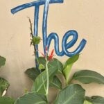 2AA0E2D7-E233-450A-BADB-46A985F48BE7_1_105_c