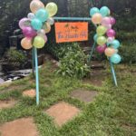 DBD5A792-D531-4C2B-85CB-B7F5994D8D26_1_105_c